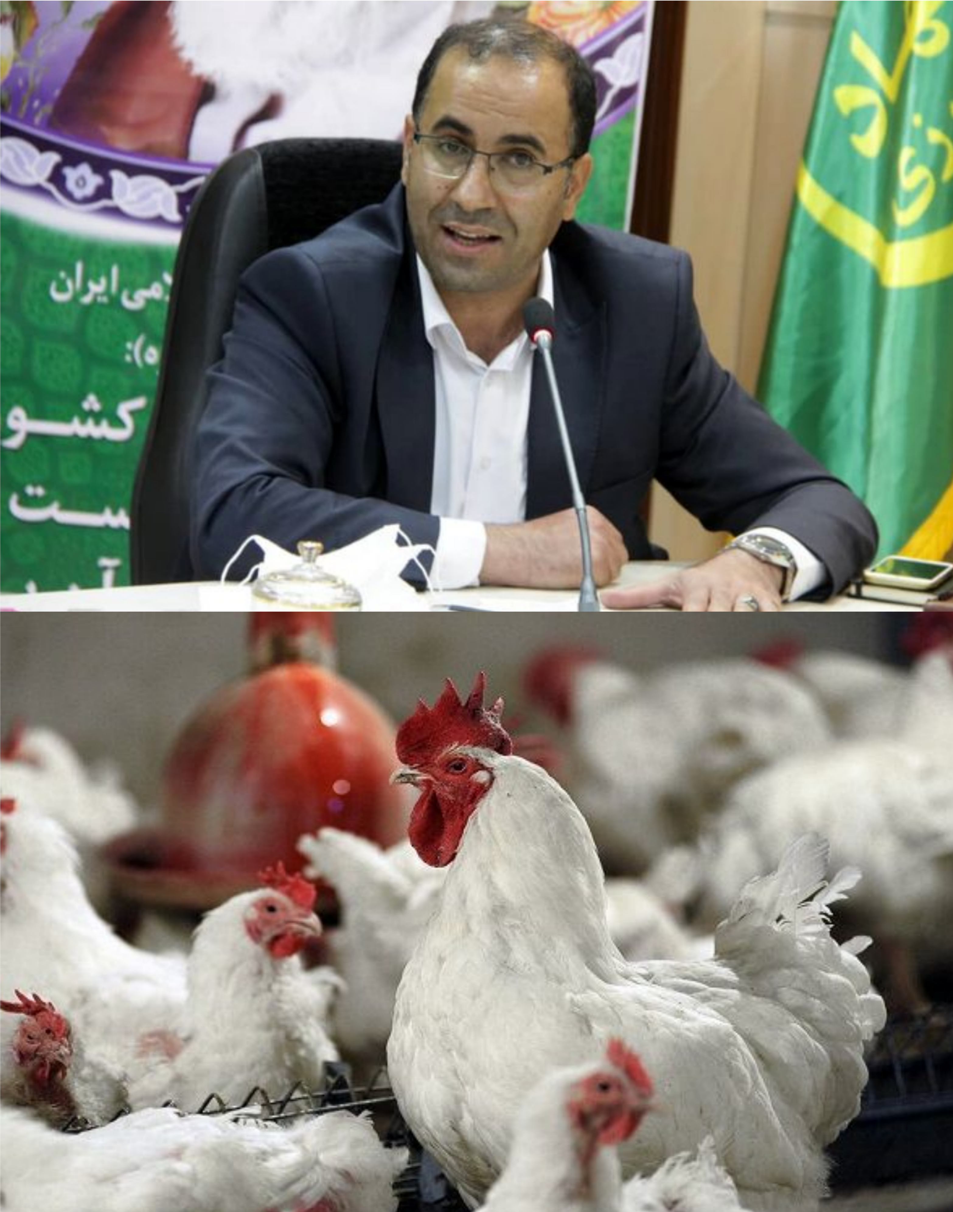 پیش‌بینی تولید ۵۷۰۰ تُن مرغ در ماه مبارک رمضان:
