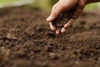 برگزاری همایش خاک با شعار «خاک سرآغاز غذا»در لرستان برگزارشد