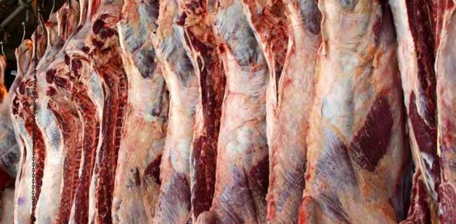 گوشت قرمز با ۱۰ درصد زیر قیمت بازار در لرستان توزیع می‌شود