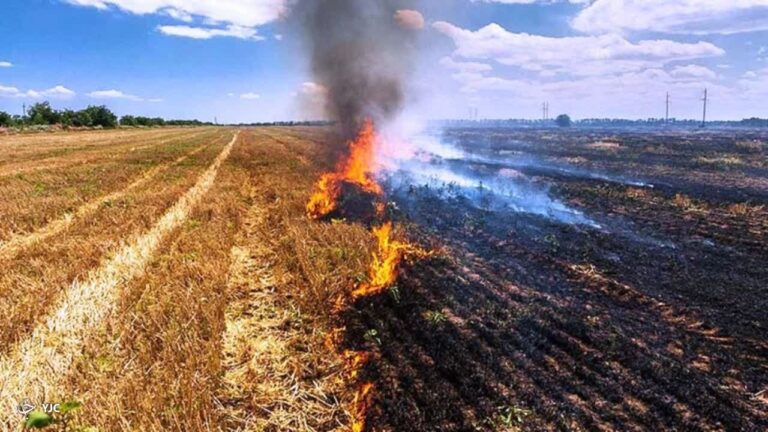 شناسایی عوامل انسانی آتش سوزی کاه و کلش کشاورزی در کوهدشت