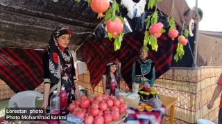 برگزاری چهارمین جشنواره انار سیاب کوهدشت