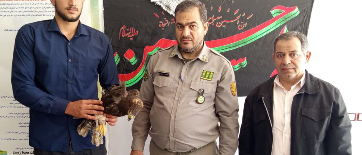 اقدام ایثارگرانه بسیجی شهرستان رومشکان در نجات یک عقاب مجروح